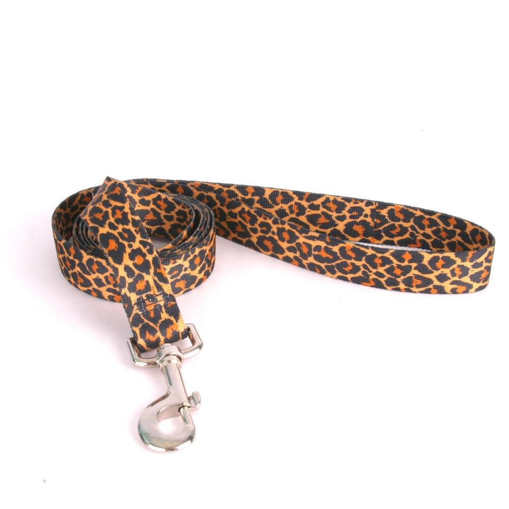 Leopard Pet Leash and Matching Collar